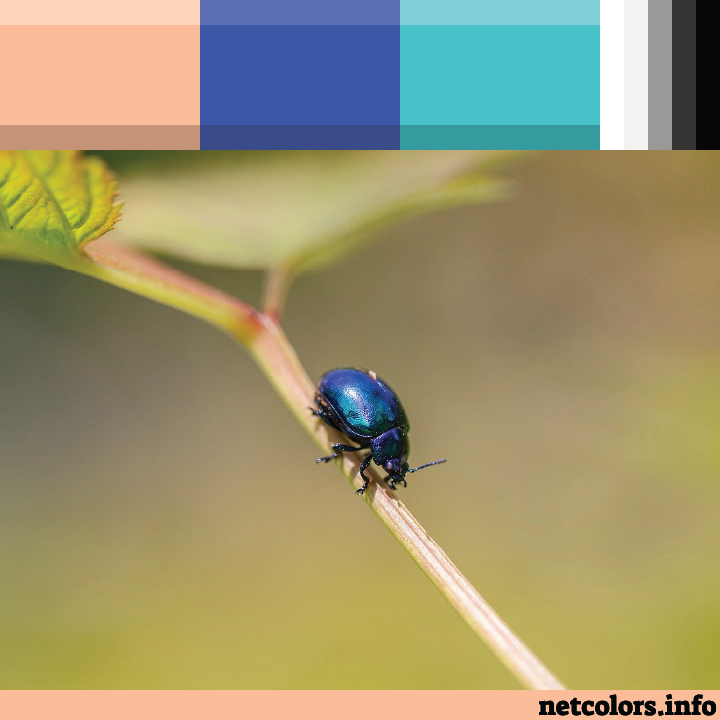 The Pantone Color of the Year 2024: Peach Fuzz color palette inspiration photo tiny blue beetle on a stem