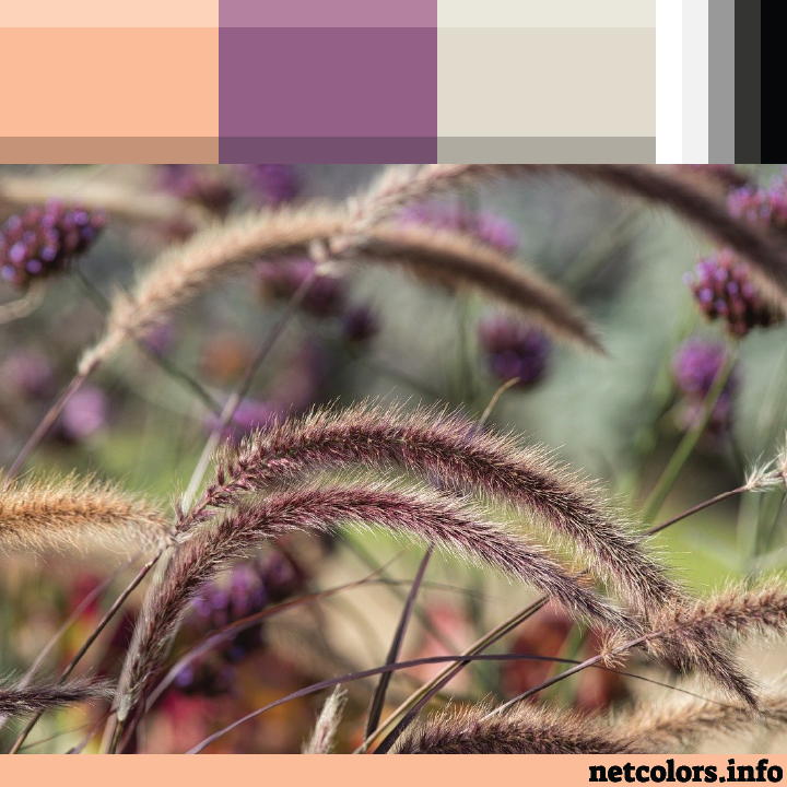 The Pantone Color of the Year 2024: Peach Fuzz color palette inspiration photo purple flowers in cat tails