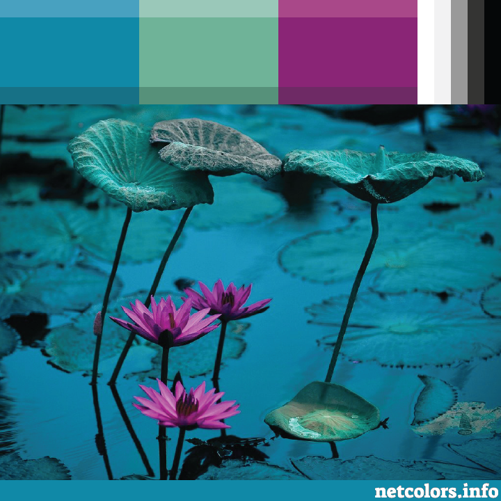 website color palette inspiration - teal Lilly pad scene with brilliant purple flowers