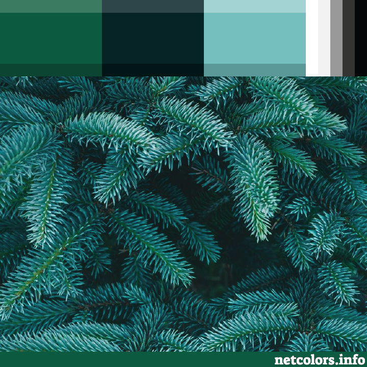 website color inspiration evergreens photo from pixabay