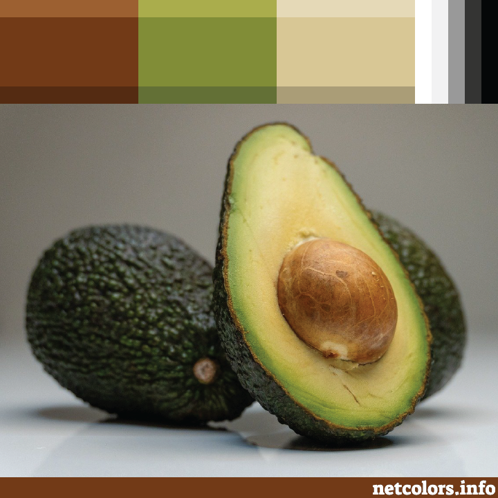 website color inspiration one sliced avocado with two whole avocadoes behind photo from pixabay