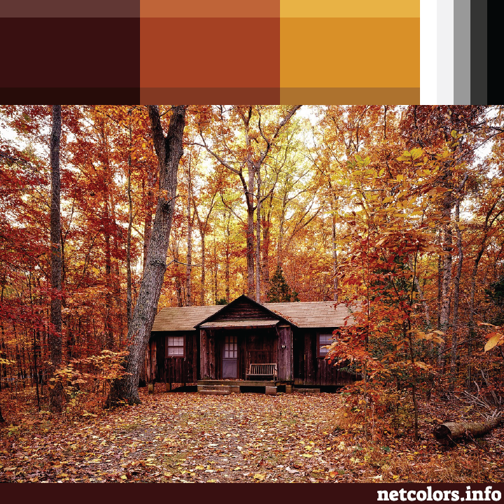 website color inspiration Pennsylvania cabin in the woods with trees dressed in fall leaves photo from pixabay